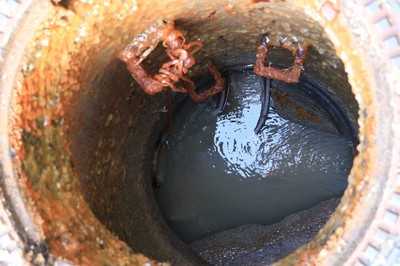 Eine umweltschonende Alternative