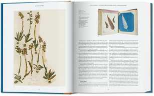 Botanische Blaupausen