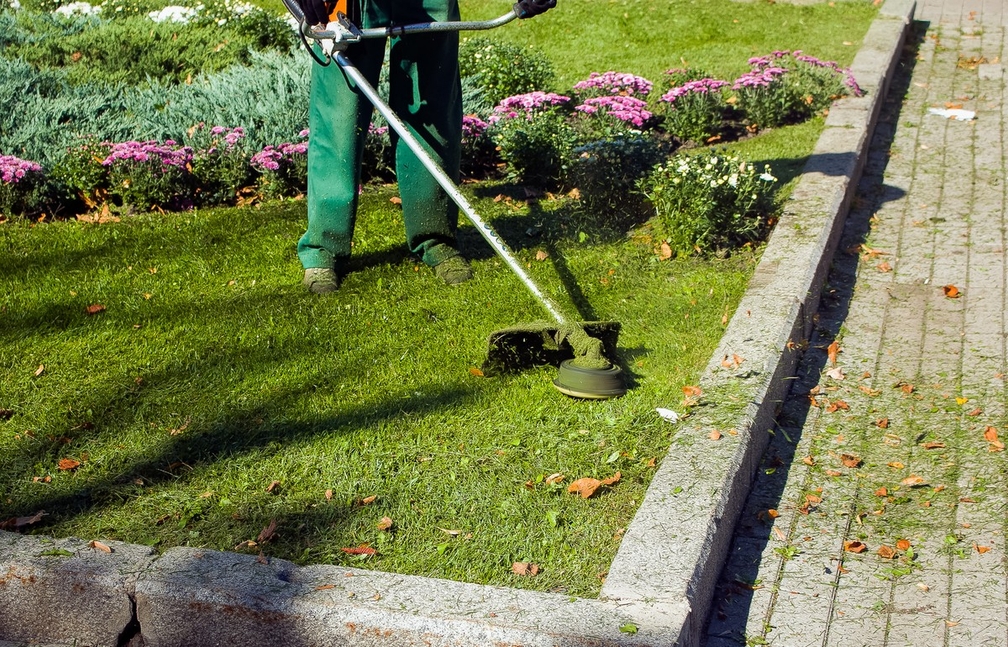 So hoch sind die Löhne und Gehälter im GaLaBau