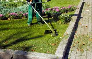 So hoch sind die Löhne und Gehälter im GaLaBau