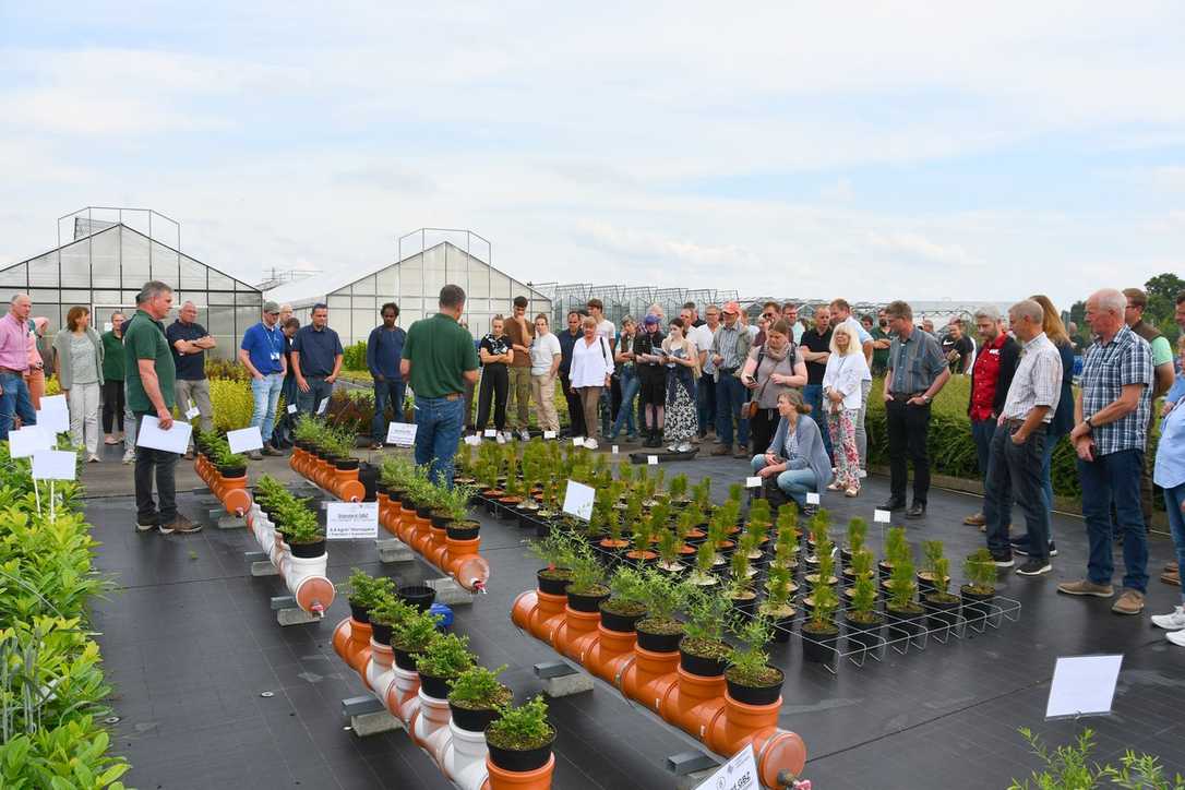 Holsteins Baumschulen öffnen ihre Türen
