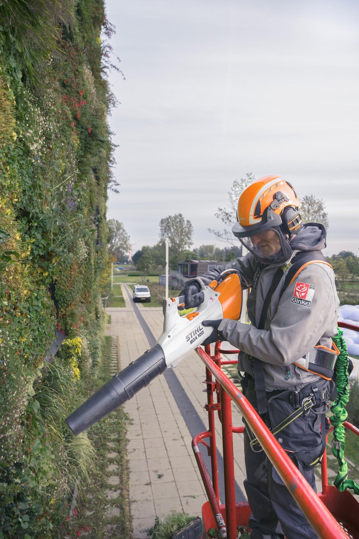Blätter und Grünreste pustet der handliche Akku-Laubbläser BGA 100 zu Boden. | Foto: Stihl