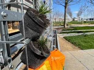 Vertikalbegrünung mit torffreier Erde