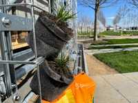 Vertikalbegrünung mit torffreier Erde