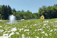 Golfanlagen als Refugium für viele und seltene Arten