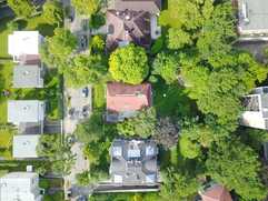 Berlin will Zahl der Bäume bis 2040 verdoppeln