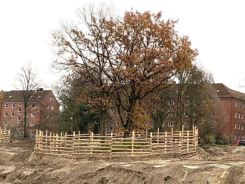 Abb. 2: Dieser ortsfeste Schutzzaun gemäß DIN 18920 schützt den gesamten Wurzelbereich der Baumgruppe und verhindert Wurzelverletzungen. Auf diese Weise werden urbane Grünflächen auch langfristig erhalten. | Foto: Dujesiefken