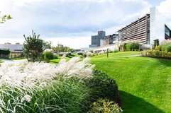 DCM legt Nachhaltigkeitsbericht vor