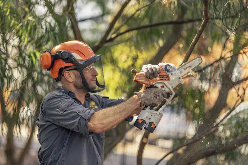 Kleine Äste sägt der leitende Baumpfleger Charlie Carroll mit dem Akku-Gehölzschneider GTA 40 von Stihl, der sich für feine Rückschnitte im dichten Geäst bewährt hat. Von ausgebildeten Baumpflegerinnen und Baumpflegern darf er auch für Schnitte in der Krone genutzt werden. | Foto: Stihl