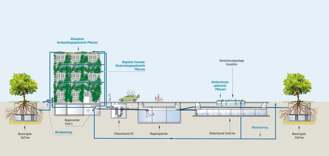 Schwammstadt in der Praxis: Regenwasserbewirtschaftung in Seeheim-Jugenheim