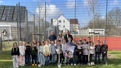 Darum Feldahorne für das Schulgelände