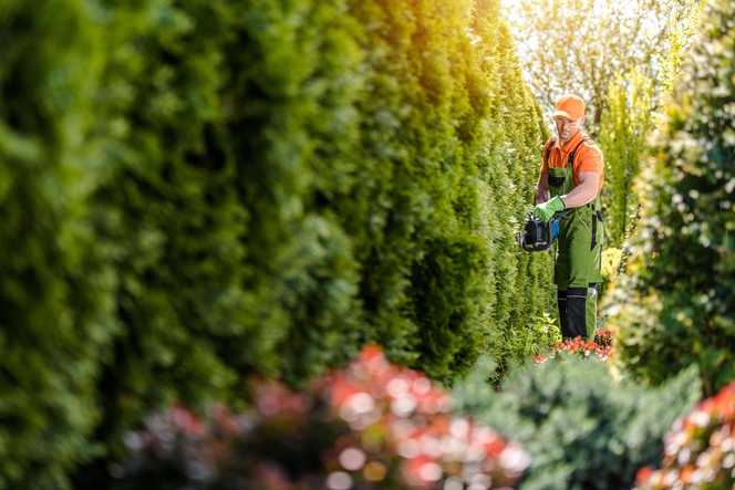 Mitarbeiter bekommen mehr Geld