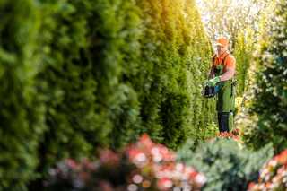 Mitarbeiter bekommen mehr Geld