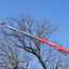 Baumpflege im Extrem: Was die Hinowa Lightlift 40.18 leistet