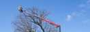 Baumpflege im Extrem: Was die Hinowa Lightlift 40.18 leistet