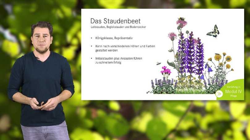 Ist überzeugt, dass eine bessere Kommunikation zu mehr Wertschätzung für Natur und Umwelt führt: Natur- und Umweltpädagoge Dominik Jentzsch von der Stiftung für Mensch und Umwelt. | Foto: Stiftung für Mensch und Umwelt Ist überzeugt, dass eine bessere Kommunikation zu mehr Wertschätzung für Natur und Umwelt führt: Natur- und Umweltpädagoge Dominik Jentzsch von der Stiftung für Mensch und Umwelt. | Foto: Stiftung für Mensch und Umwelt