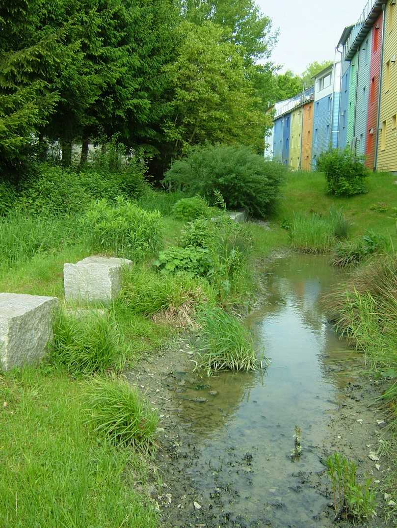 Freiburg im Breisgau, Solarsiedlung: Am Sonnenschiff, einem kombinierten Geschäfts- und Wohnbau entlang der Merzhauser Straße, beginnt der Entwässerungsgraben, der das Regenwasser kombiniert versickert und weiterleitet. | Foto: König