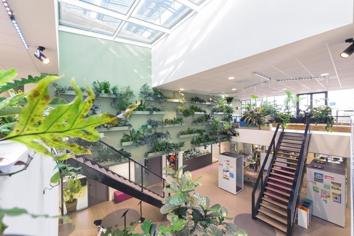 Im Inneren der Universität schmücken zahlreiche Zimmerpflanzen die Wände und hängen in Pflanzkästen im Raum. | Foto: Stihl