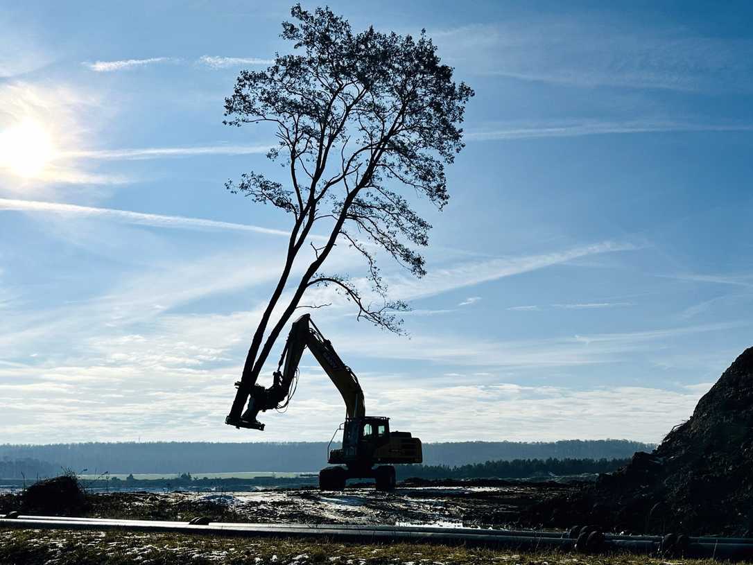 Sany SY215C im Einsatz: Baumfällung mit Bagger und Fällschere im GaLaBau