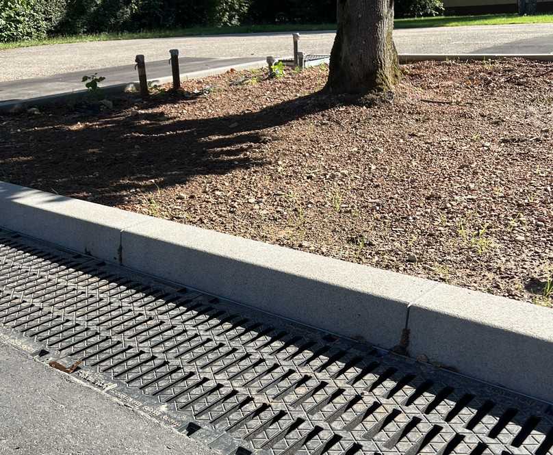 Ein dichtes Netz aus Sensoren misst Feuchtigkeit, Wassermenge und Saftfluss am Baum selbst. | Foto: Hauraton