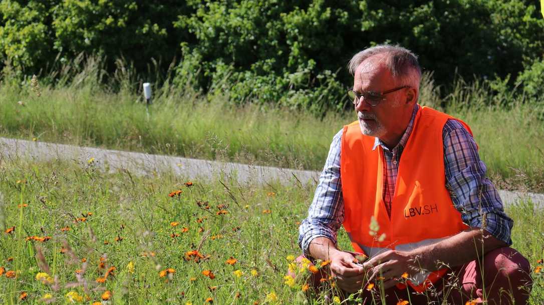Exlusiv im Interview: Landesbetrieb zum Straßenbegleitgrün - Worauf kommt es an? Exlusiv im Interview: Landesbetrieb zum Straßenbegleitgrün - Worauf kommt es an?