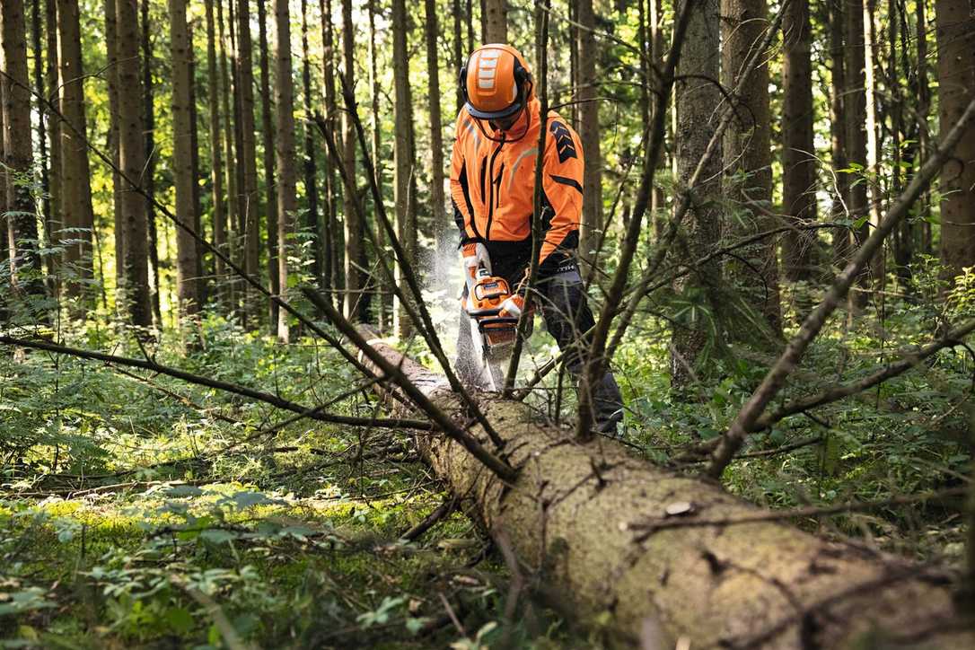 Stihl auf der Forst Live Stihl auf der Forst Live
