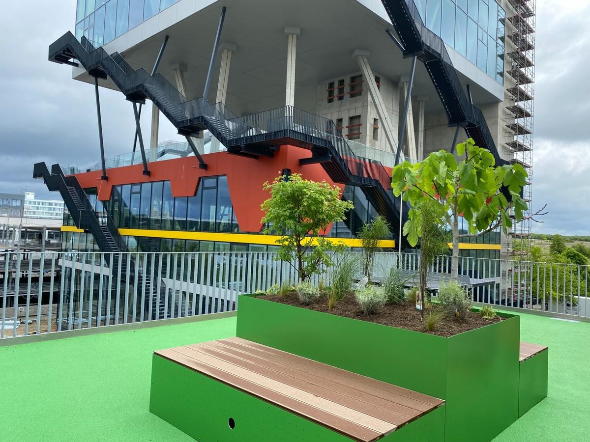 Bepflanzte Tröge auf dem EXPO-Campus in Hannover zeigen, wie sich auch anspruchsvolle Standorte in der Höhe effizient und dauerhaft begrünen lassen. | Foto: PATZER ERDEN