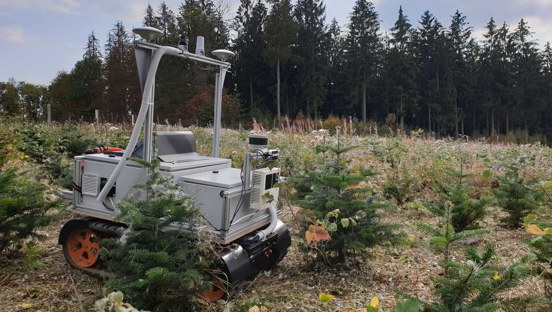 Nachhaltiger Weihnachtsbaum-Anbau mit Roboter-Einsatz Nachhaltiger Weihnachtsbaum-Anbau mit Roboter-Einsatz