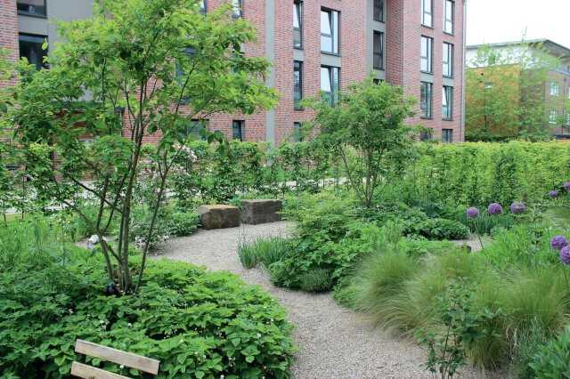 Die beiden Amelanchier lamarckii bringen Bewegung in die Topografie und stehen als Fixpunkte auf anmodellierten Hügeln. Die beiden Amelanchier lamarckii bringen Bewegung in die Topografie und stehen als Fixpunkte auf anmodellierten Hügeln.