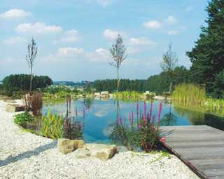 So klappt es mit dem Bad im Schwimmteich oder Naturpool