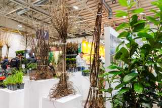 ++ Neue Komponenten für den Betrieb von Gewächshäusern ++ Torffreie Substrate