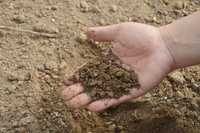 Blumenerde und Substrate durch Iran-Krieg teurer
