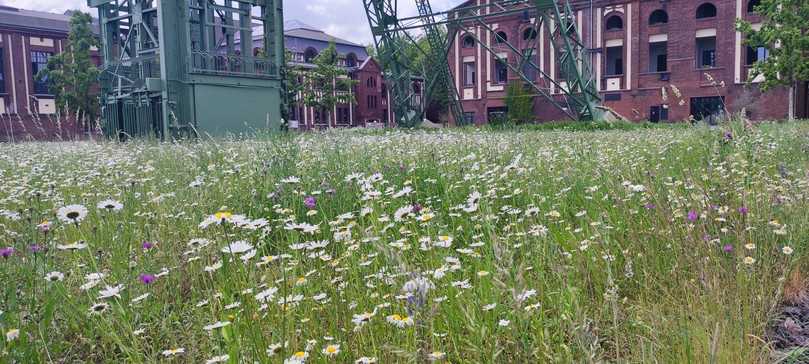 Ausgezeichnet: Der Zechenpark in Kamp-Lintfort | Foto: BH Ausgezeichnet: Der Zechenpark in Kamp-Lintfort | Foto: BH