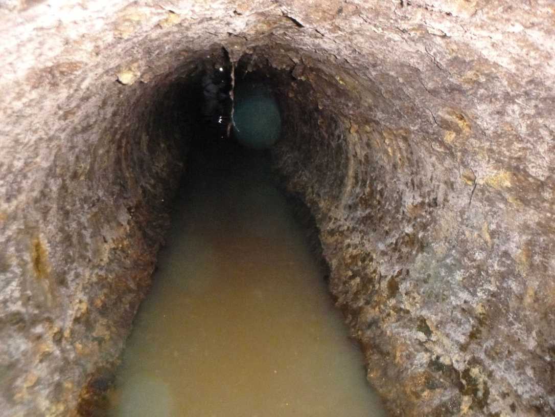 Premiere: DB-zugelassener Liner im Einsatz Premiere: DB-zugelassener Liner im Einsatz