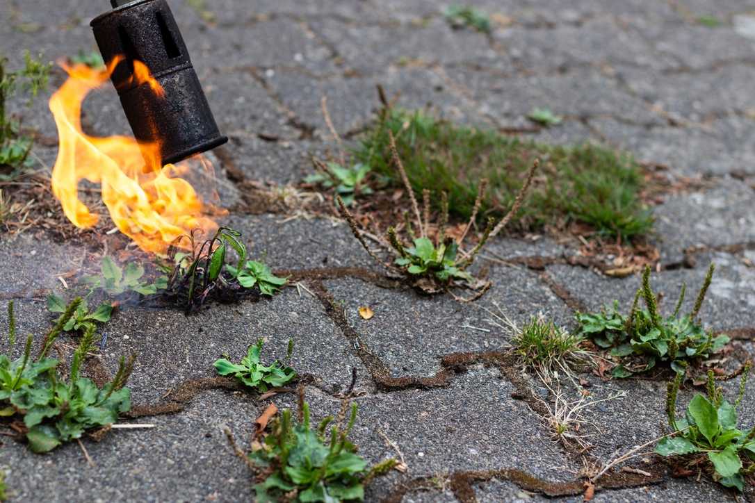 Unkrautbekämpfung ohne Chemie: Methoden, Technik und Tipps für die Stadtpflege