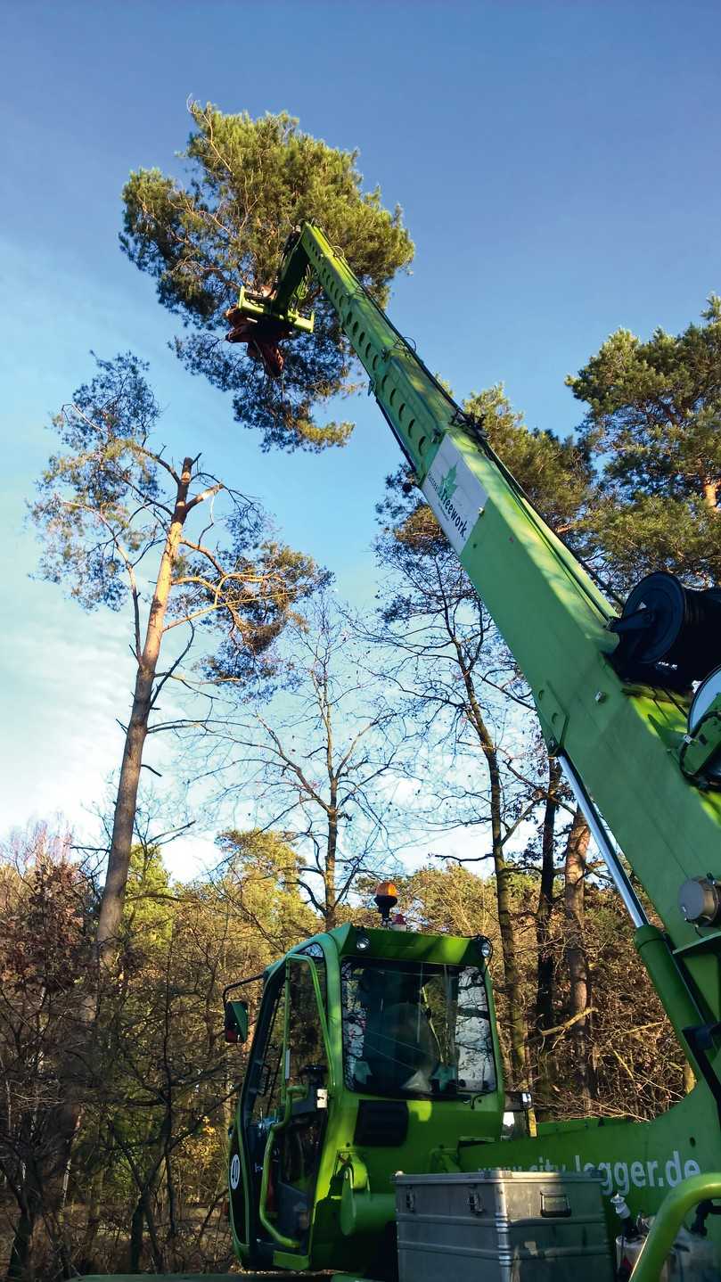 Der Fällgreifer packt grob zu – für präzise Schnitte, die in der fachgerechten Baumpflege nötig sind, eignet er sich eher weniger. | Foto: Olav Johswich