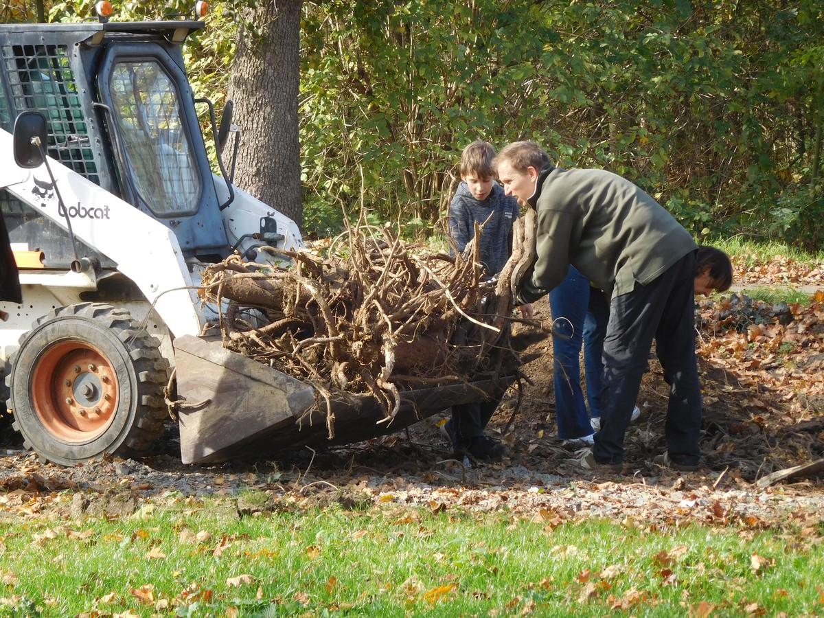 Beim Transport von schwerem Material, beispielsweise große Baumstümpfe, kam der Bobcat 773 ebenfalls zum Einsatz. | Foto: Bobcat Beim Transport von schwerem Material, beispielsweise große Baumstümpfe, kam der Bobcat 773 ebenfalls zum Einsatz. | Foto: Bobcat