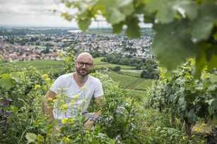 Auf dem Weg zum torffreien Gärtnern