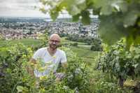Auf dem Weg zum torffreien Gärtnern