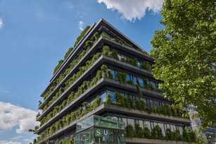 Immergrüne Fassade – Zukunft der Stadt