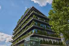 Immergrüne Fassade – Zukunft der Stadt