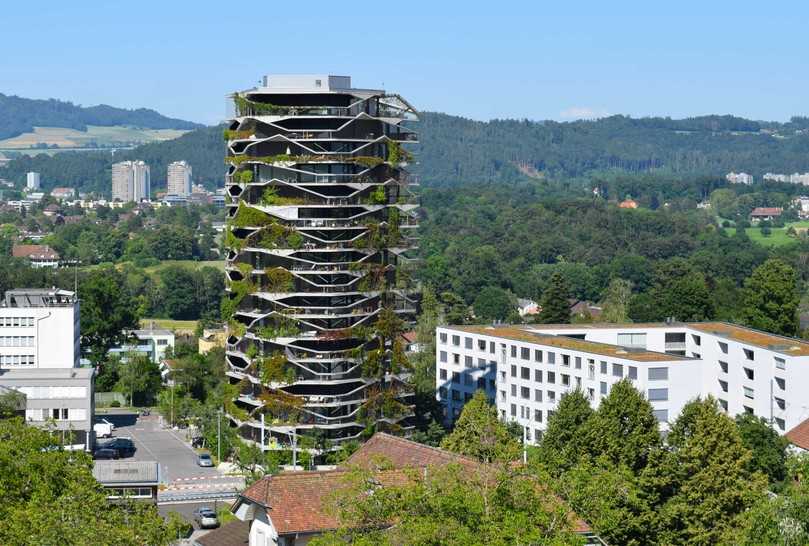 Platz 1 in der Kategorie „BuGG-Fassadenbegrünung des Jahres 2026“: Garden-Tower in Wabern, Schweiz. | Foto: BuGG Platz 1 in der Kategorie „BuGG-Fassadenbegrünung des Jahres 2026“: Garden-Tower in Wabern, Schweiz. | Foto: BuGG
