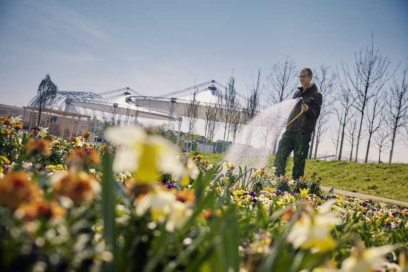 Tagtäglich gibt es viel zu tun auf dem Buga-Gelände: Gärtner beim Blumengießen im Spinelli-Park. | Foto: BUGA 23/Lukac+Diehl Tagtäglich gibt es viel zu tun auf dem Buga-Gelände: Gärtner beim Blumengießen im Spinelli-Park. | Foto: BUGA 23/Lukac+Diehl