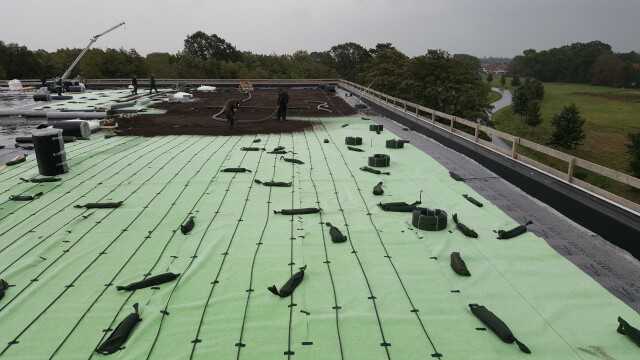 Eine andere Teilfläche erhielt die Dränage-Rollenware Fixodrain XD 20 mit Aquafleece –hier zu sehen: die Unterflur-Bewässerung mit Tropfschläuchen. | Foto: ZinCo GmbH