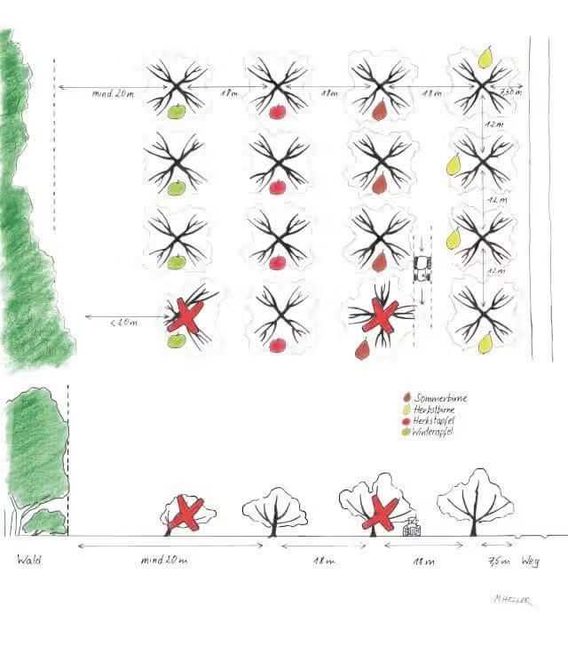 Auf die Planung kommt es an: Um eine funktionierende Streuobstwiese anzulegen, die auch langfristig Bestand hat, müssen viele Faktoren berücksichtigt werden. | Foto: Michael Grolm