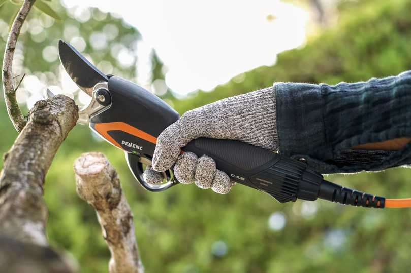 Ergonomisch, effizient, sicher und robust: die neue Pellenc Akku-Astschere C45 | Foto: Pellenc Ergonomisch, effizient, sicher und robust: die neue Pellenc Akku-Astschere C45 | Foto: Pellenc