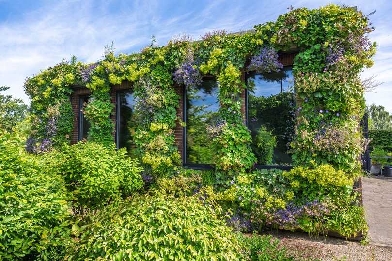 Wandgebundene Grünfassade mit Trog- und Dauererde als Basis. | Foto: Thorsten Scherz Wandgebundene Grünfassade mit Trog- und Dauererde als Basis. | Foto: Thorsten Scherz