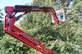 Vom Klettern zur Arbeitsbühne: Baumpflege mit neuer Arbeitsbühne