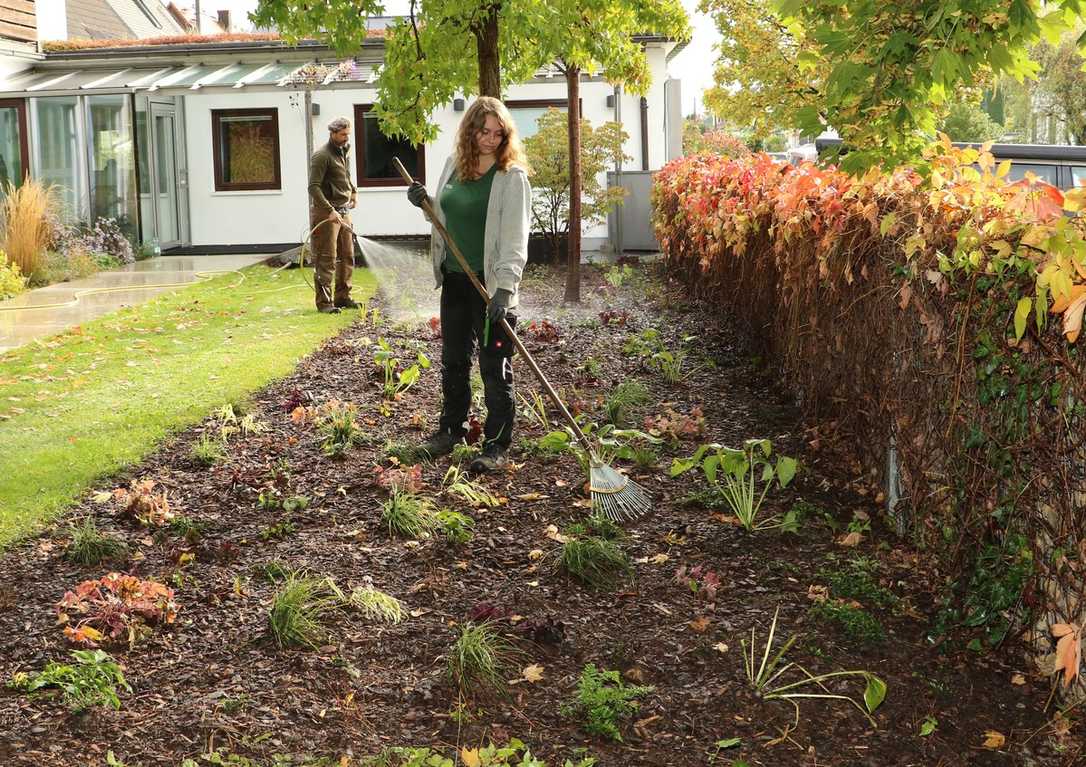 Gartengestaltung: Bodenschutz & Staudenvielfalt