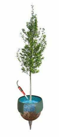 Mit dem neuen Gießrand arboGreenwell können bis zu 80 % an Wasser eingespart werden. arboGreenwell ist in den Durchmessern 49 und 67 cm mit 25 bzw. 55 l Fassungsvermögen für alle Pflanzgrößen bis über STU 25 erhältlich. | Abb.: arboa